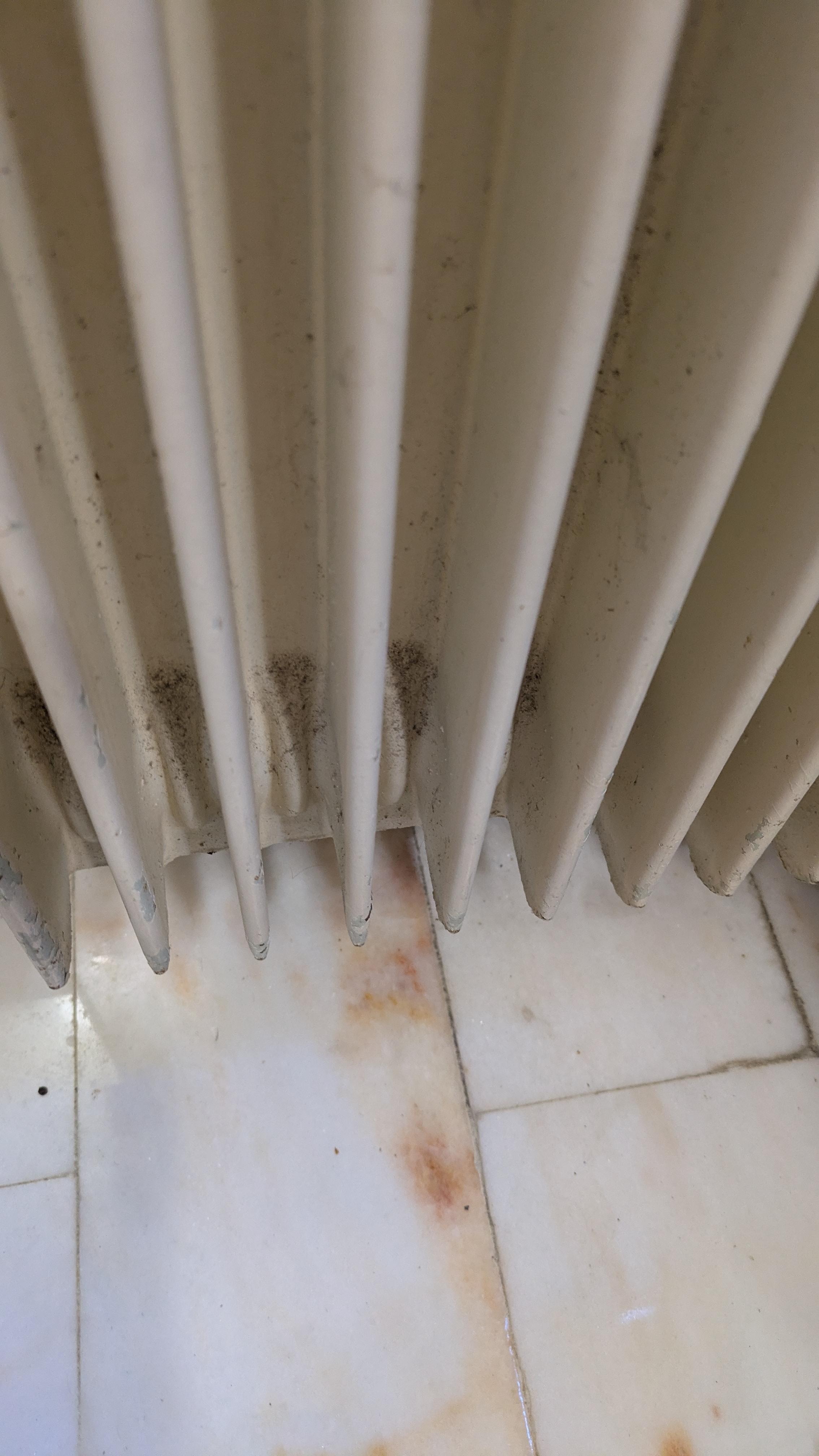 Dirty - has not been cleaned since?