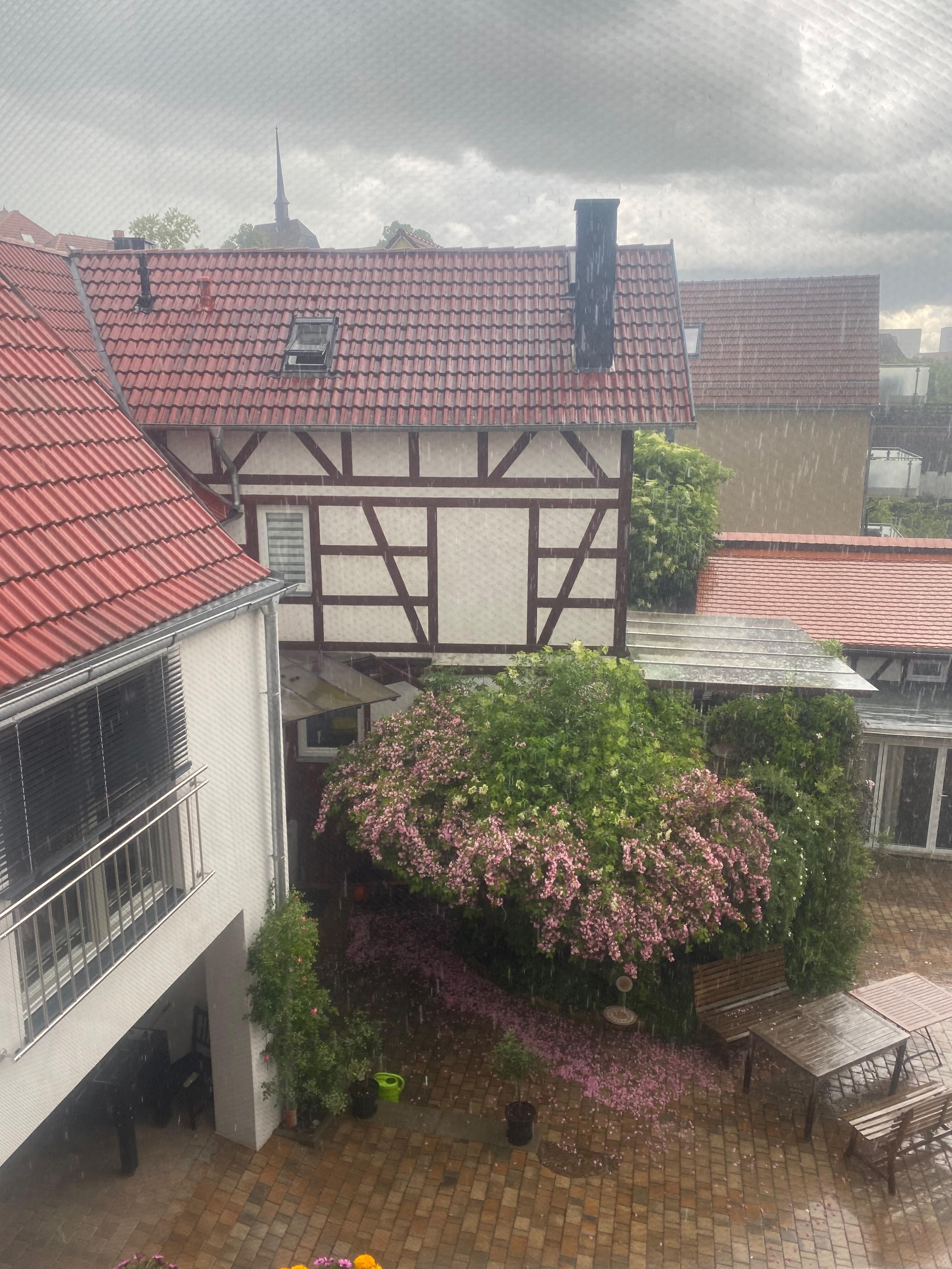 Wir erreichten das Happynest kurz vor dem nächsten heftigen Regen