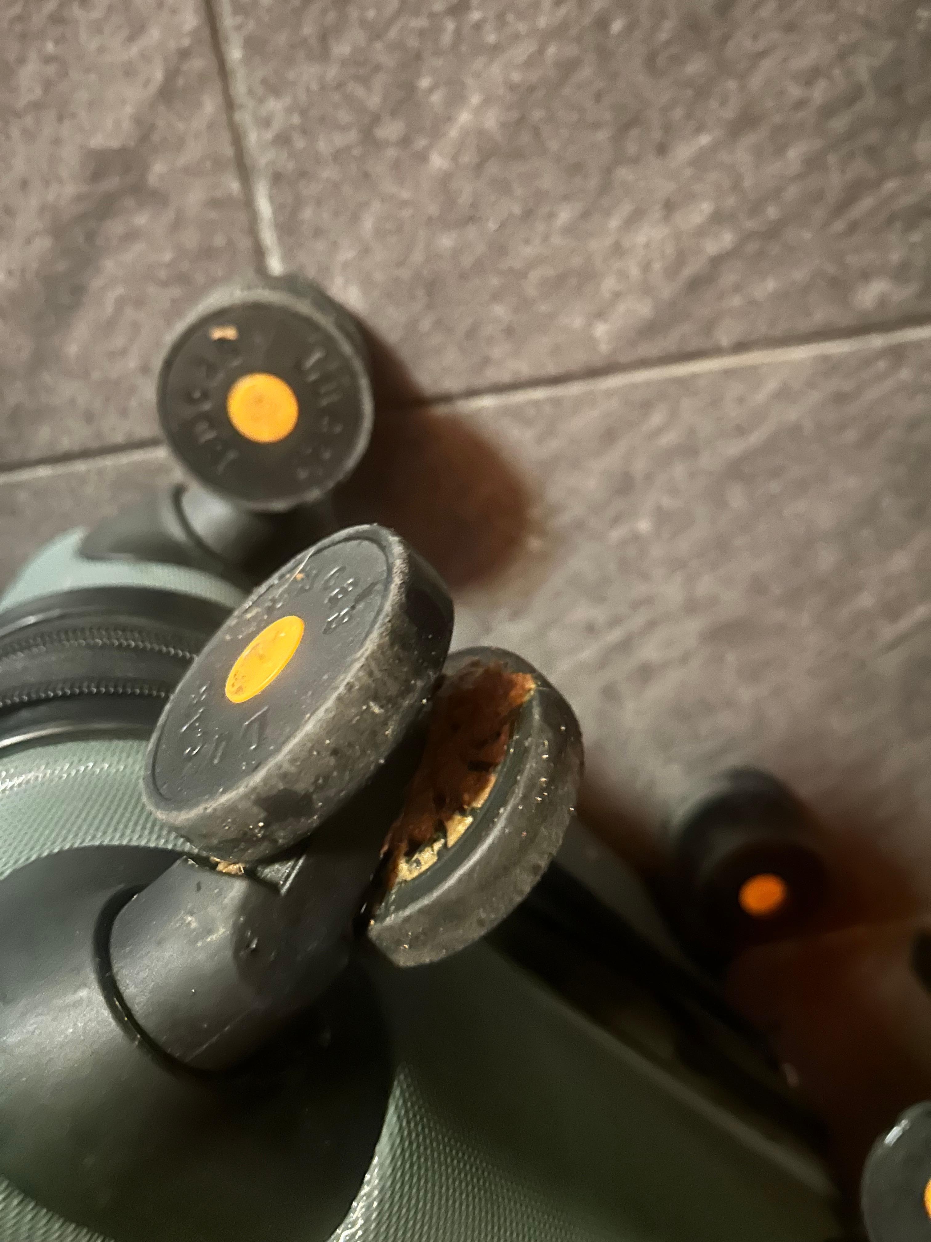 Poo clogging wheels of my luggage 