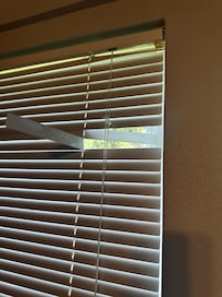 blinds in disrepair