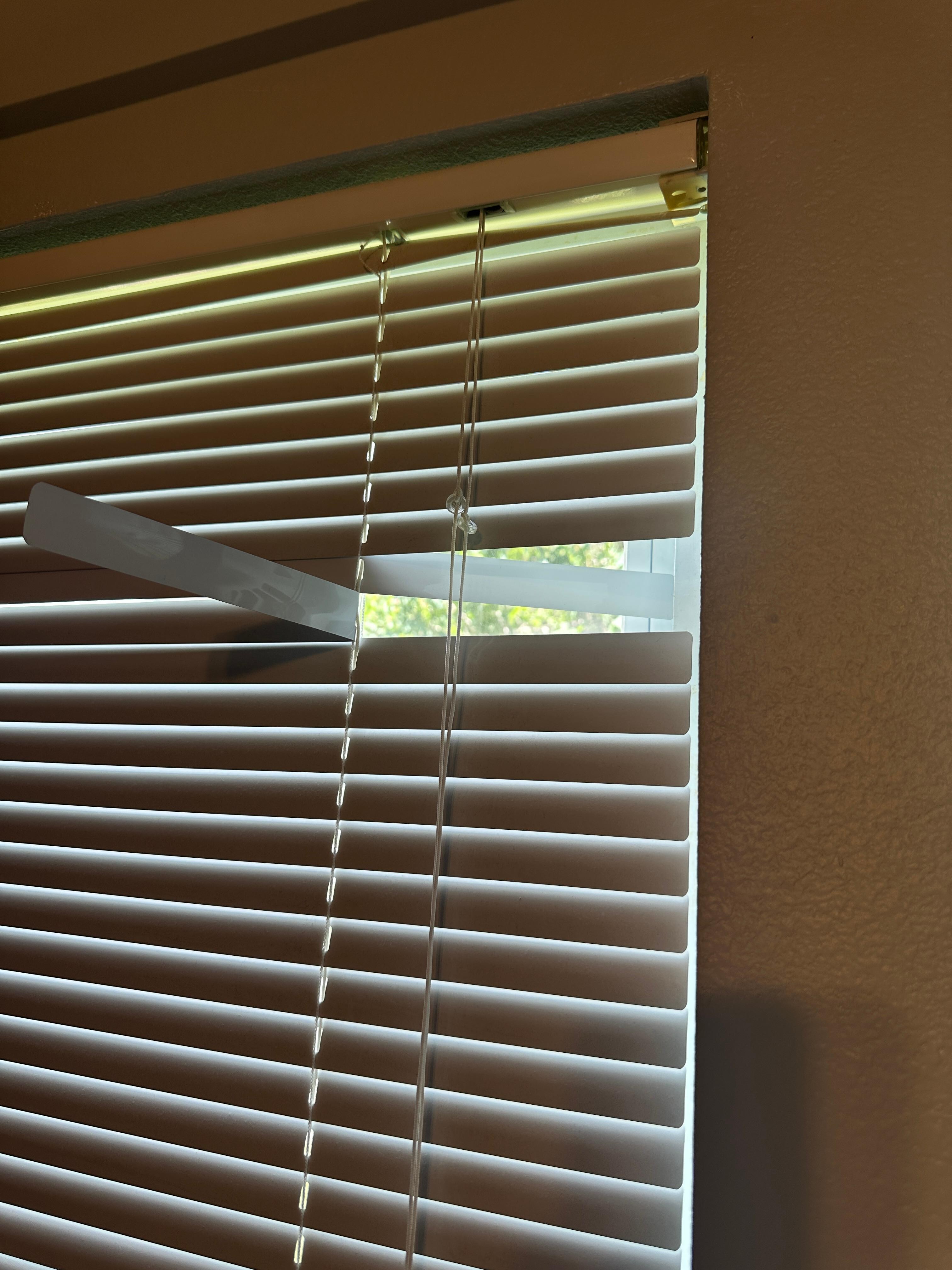 blinds in disrepair