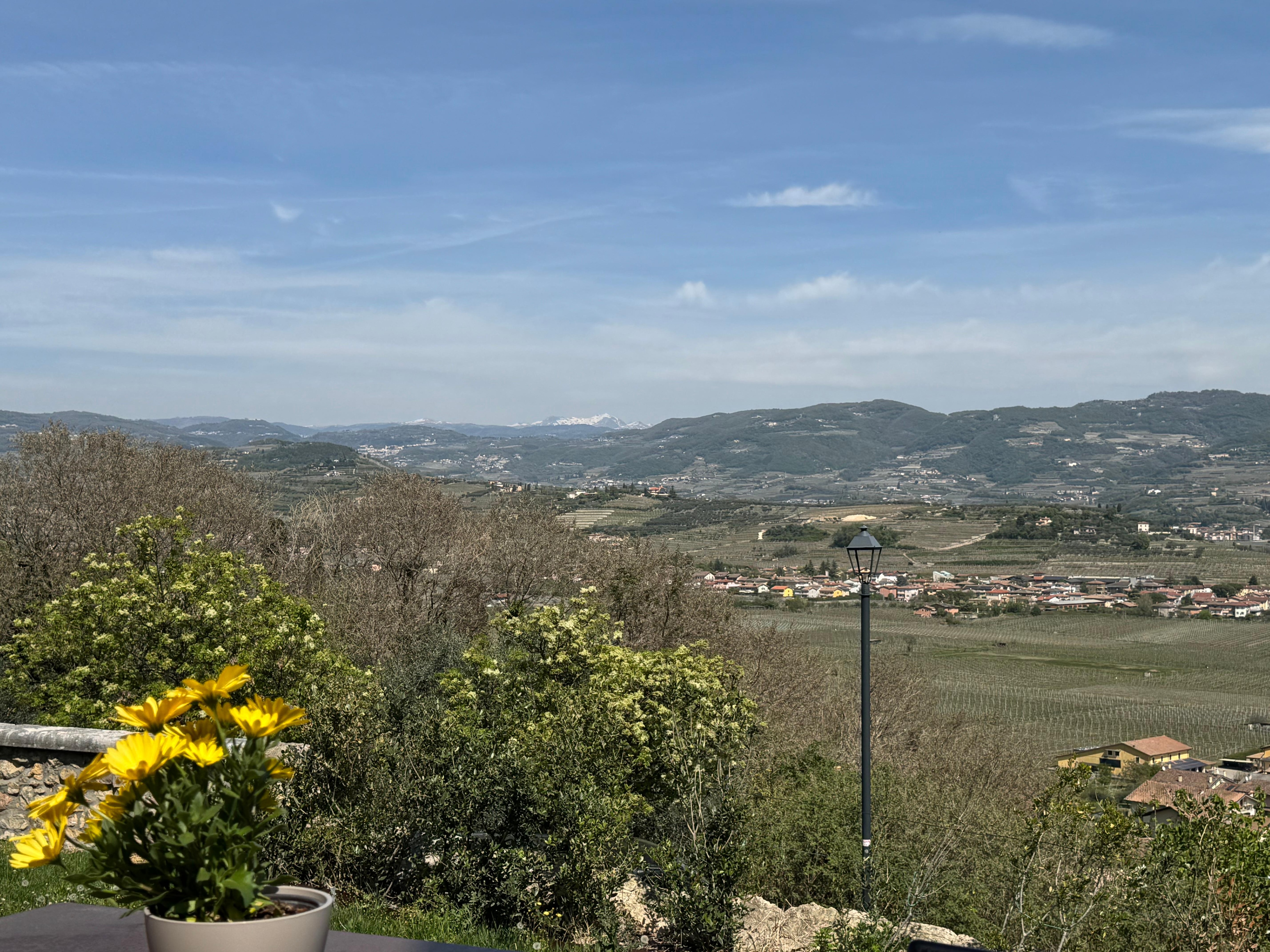  View from breakfast area