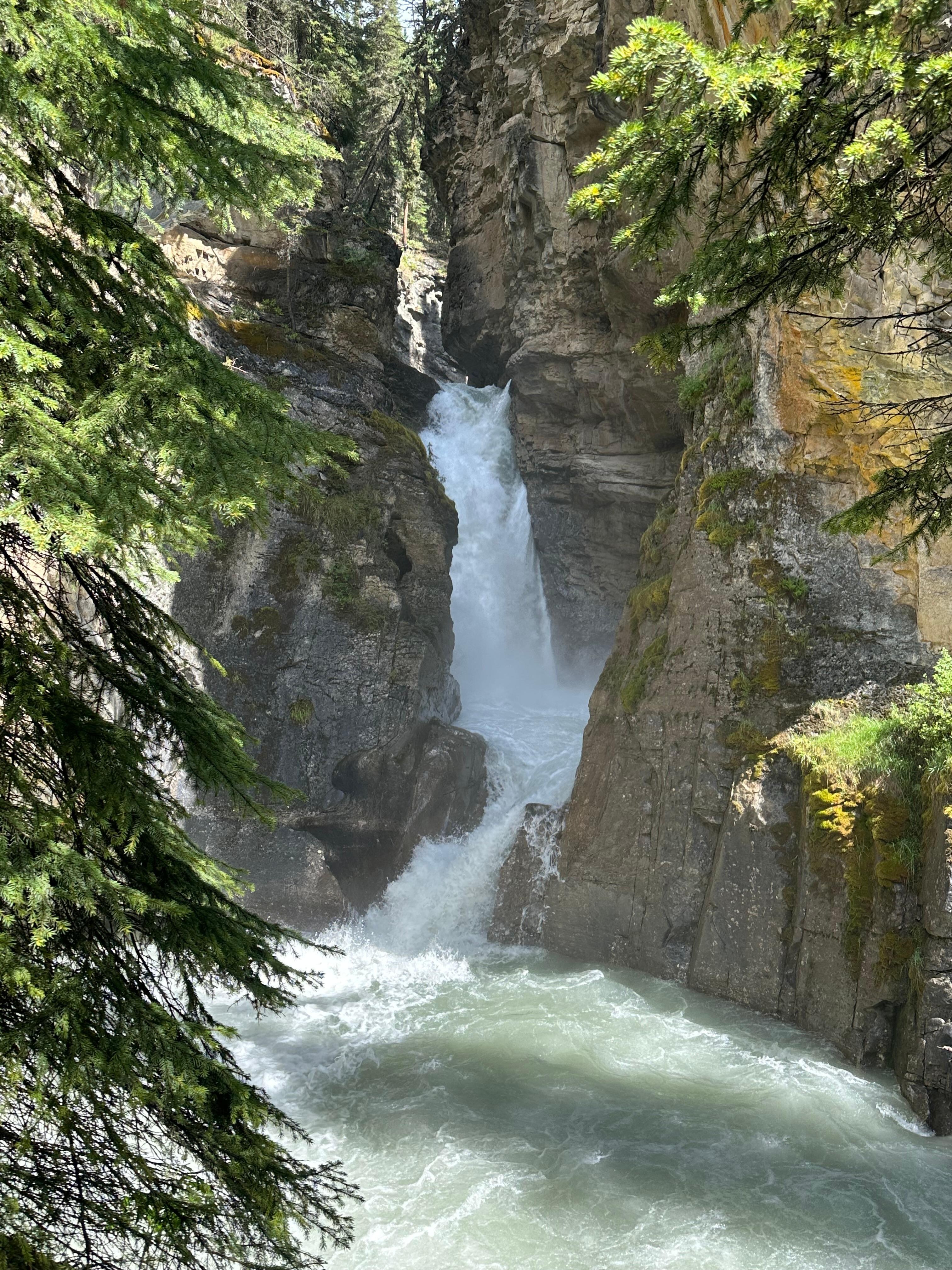 Quick hike to lower falls. 