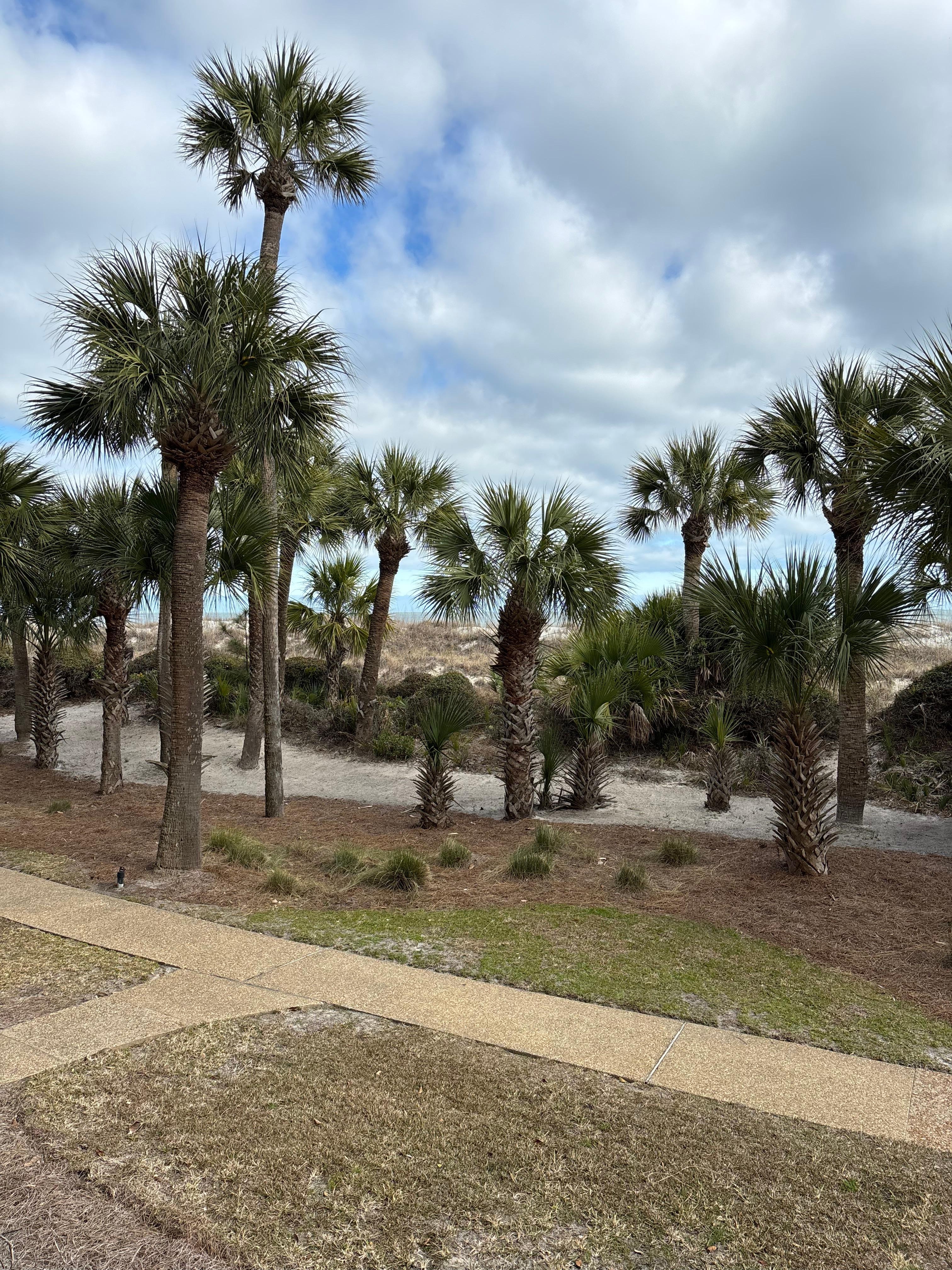 View from private balcony.