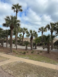 View from private balcony.