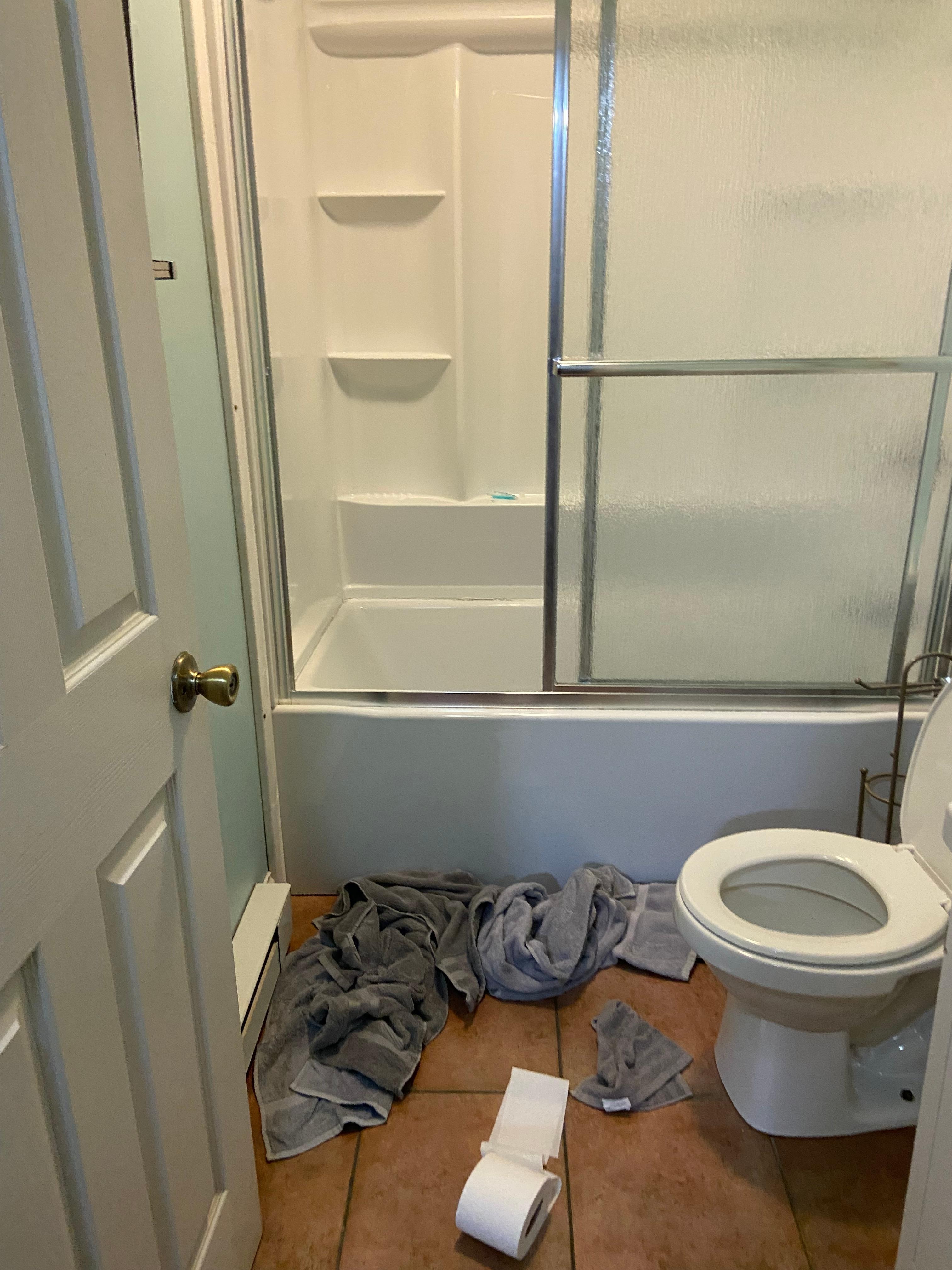 Toilet paper and dirty towels on the floor when we arrived