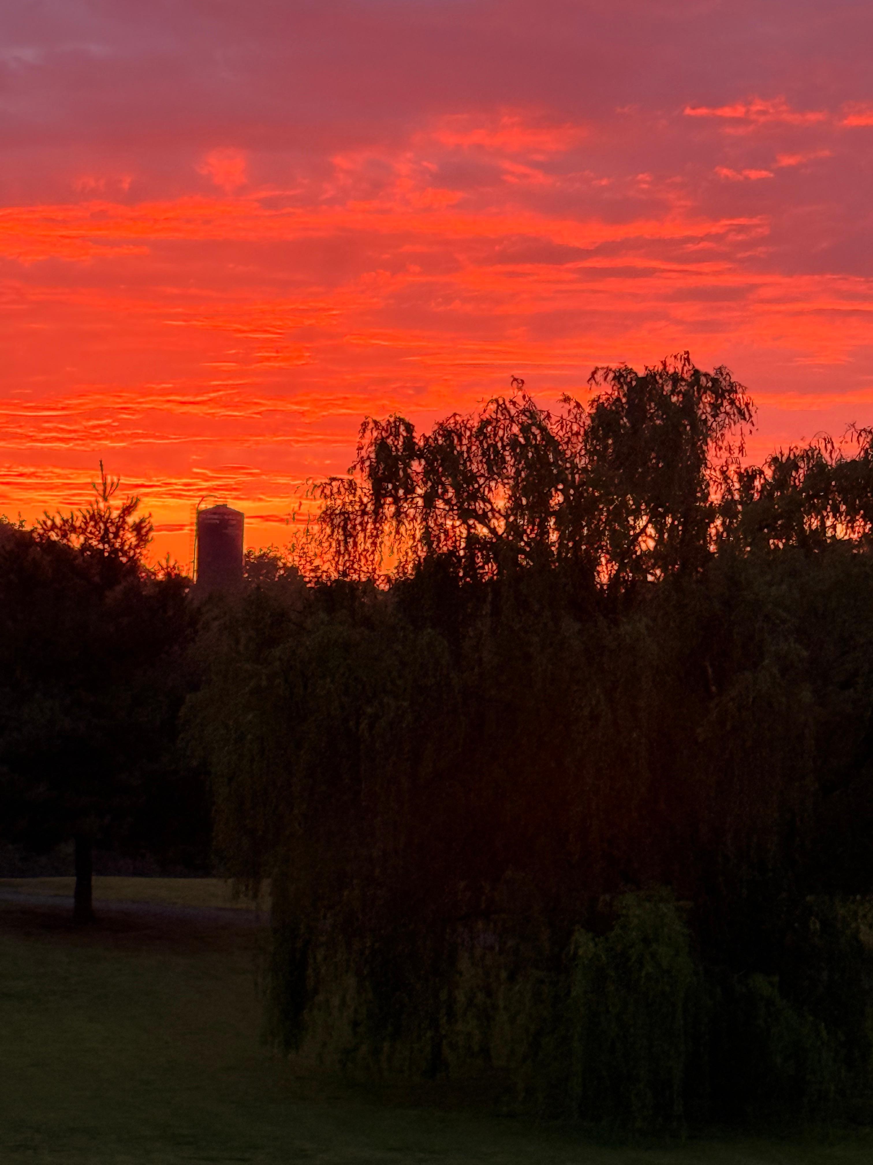 The sunset from the front porch. 