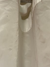 Mold all over the shower curtain