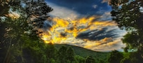 Back Porch View
