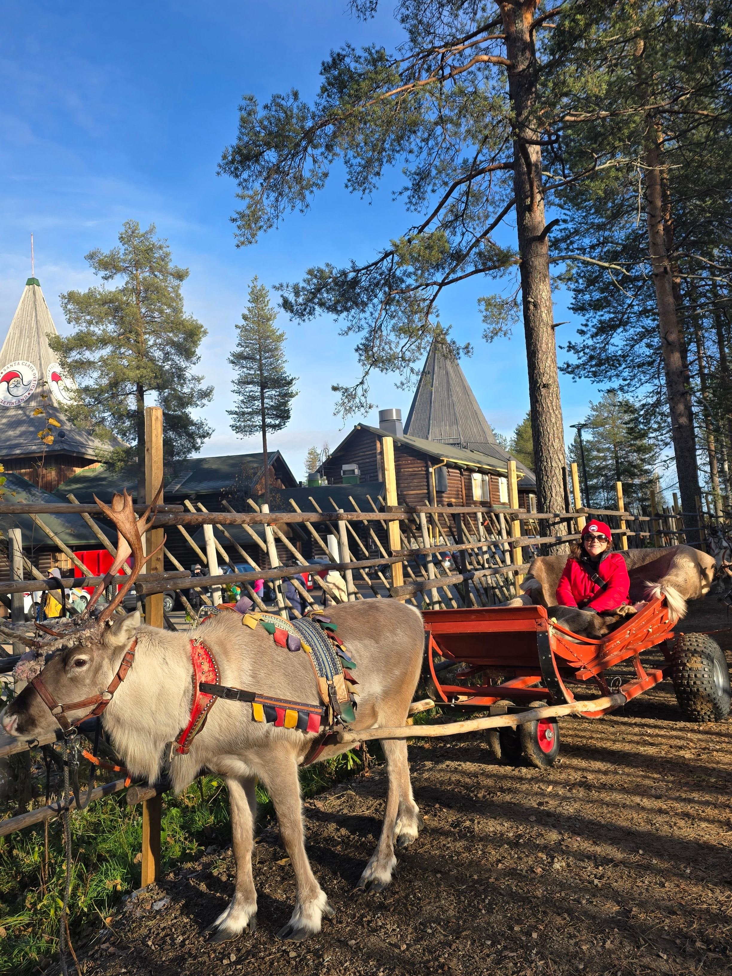 Ride with the reindeer