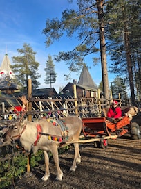 Ride with the reindeer