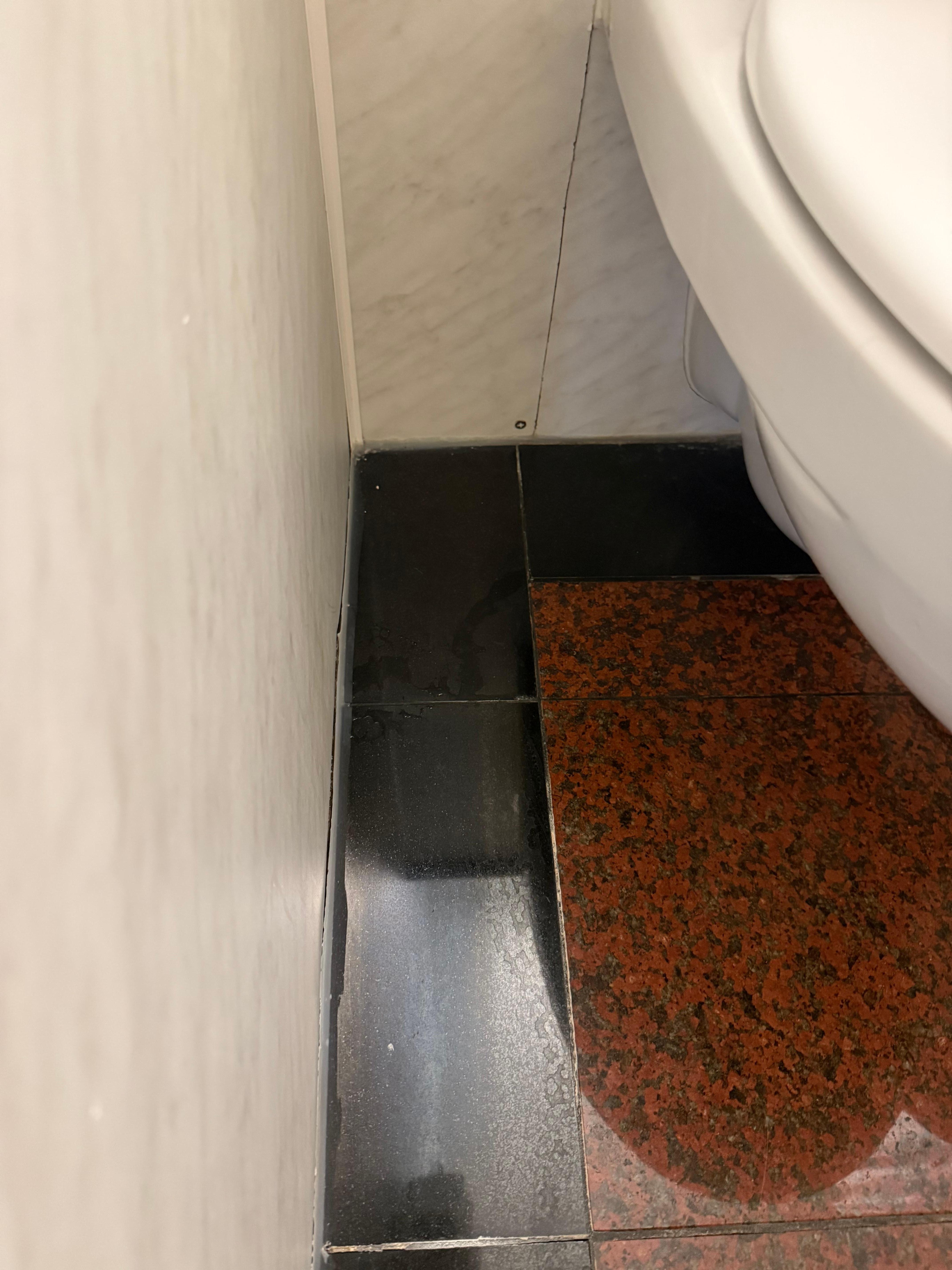 Water pooling against wall, leaking loo?