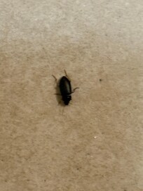 Bathroom floor