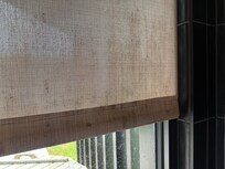 Mouldy blinds in bathroom