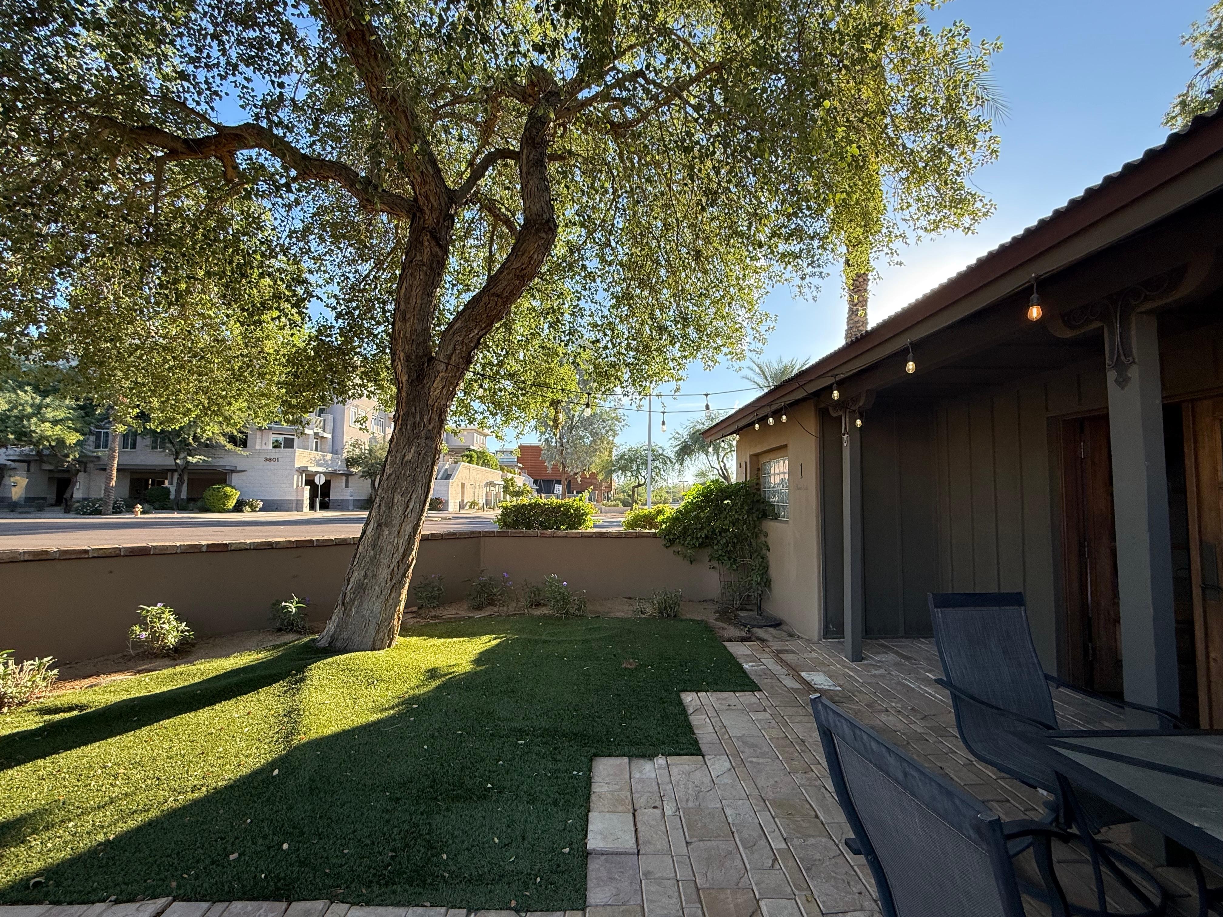 Front yard with shaded porch