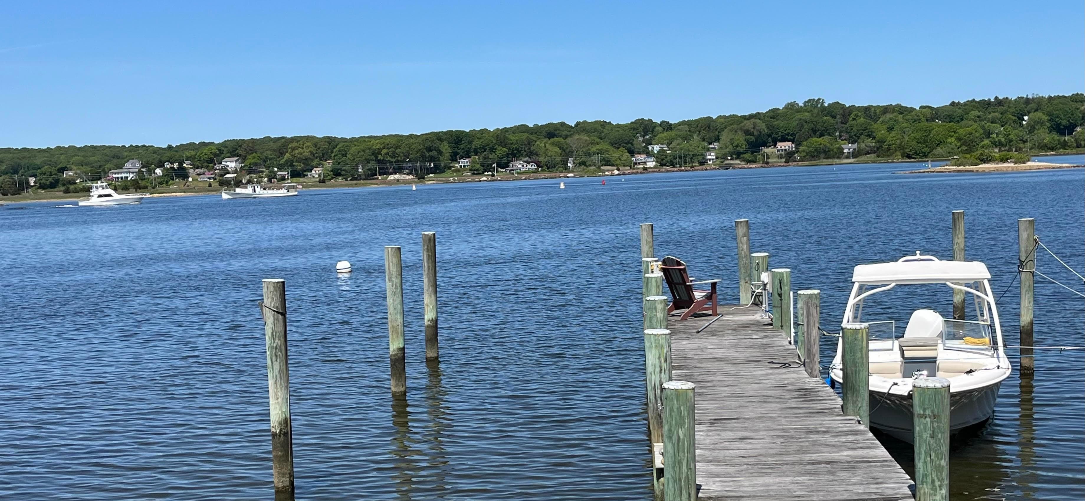 View from the sunroom
