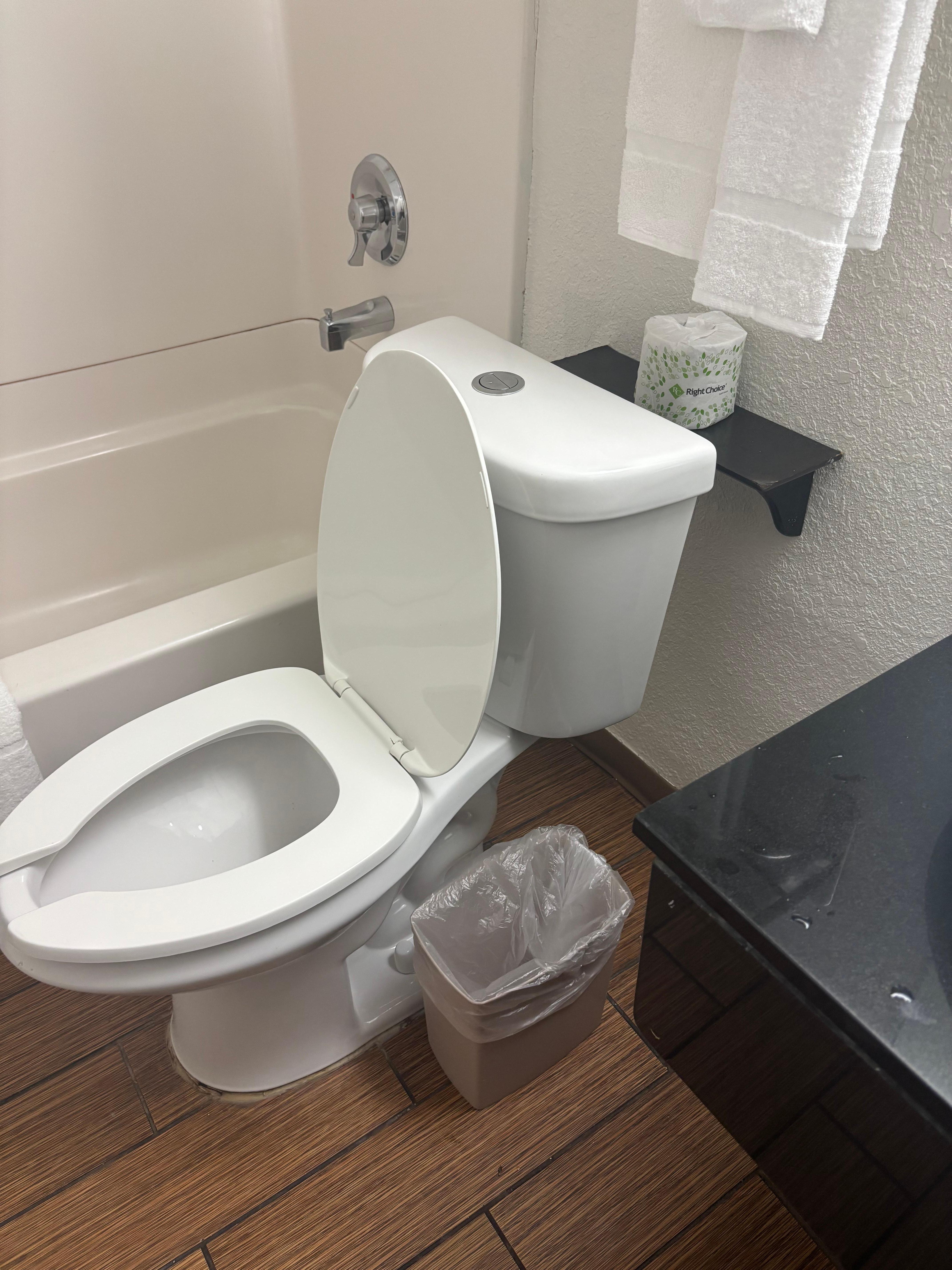 Literally in the middle of the bathroom