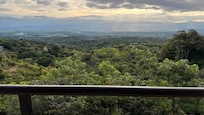 View from the forest view room’s patio.