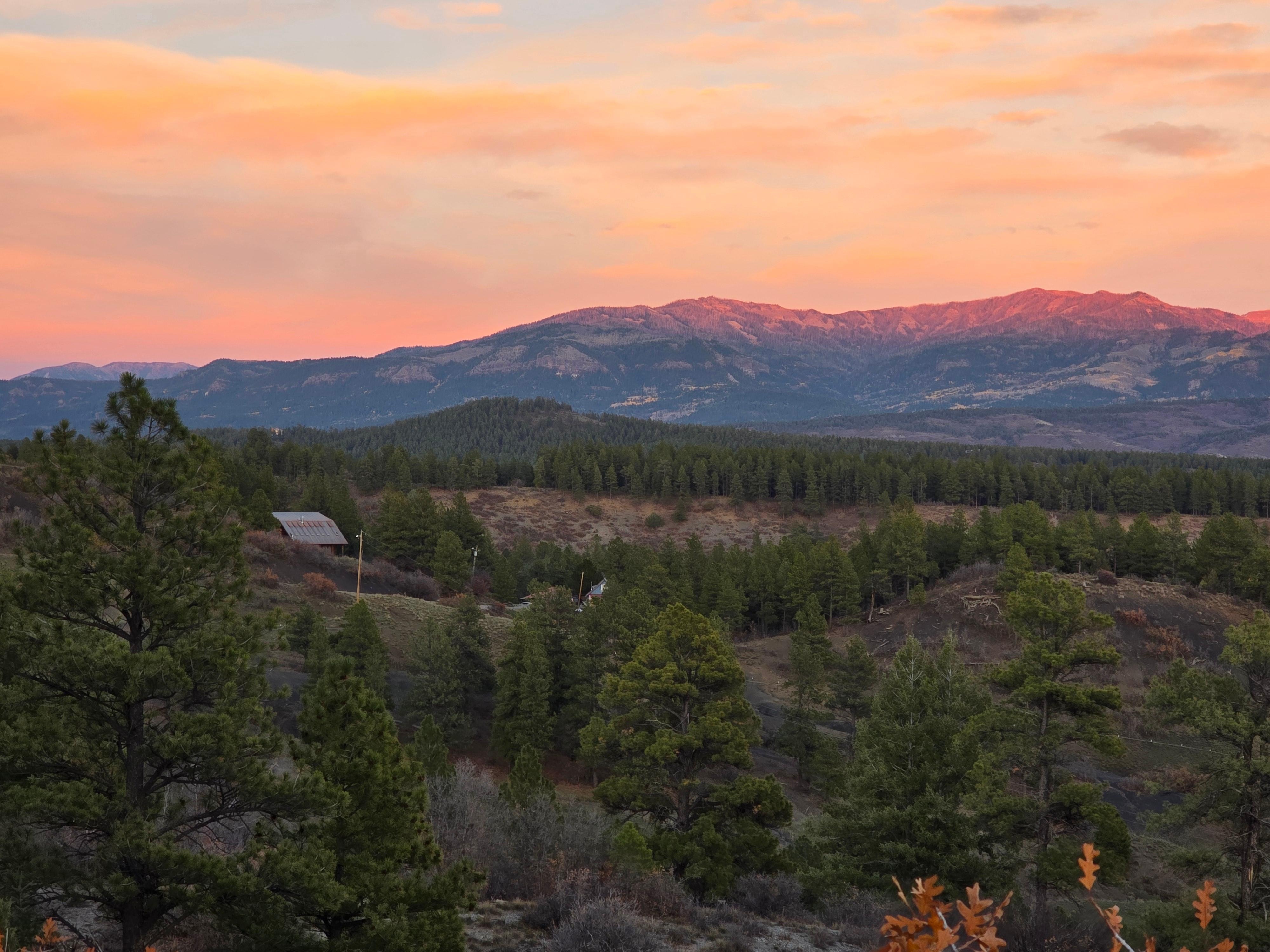 The view from back porch 