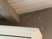Cobwebs throughout the house