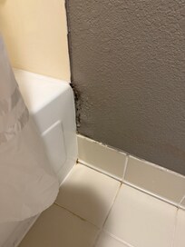 Bathroom mold.