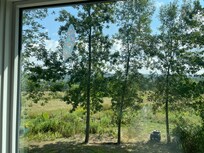 View from the picture window