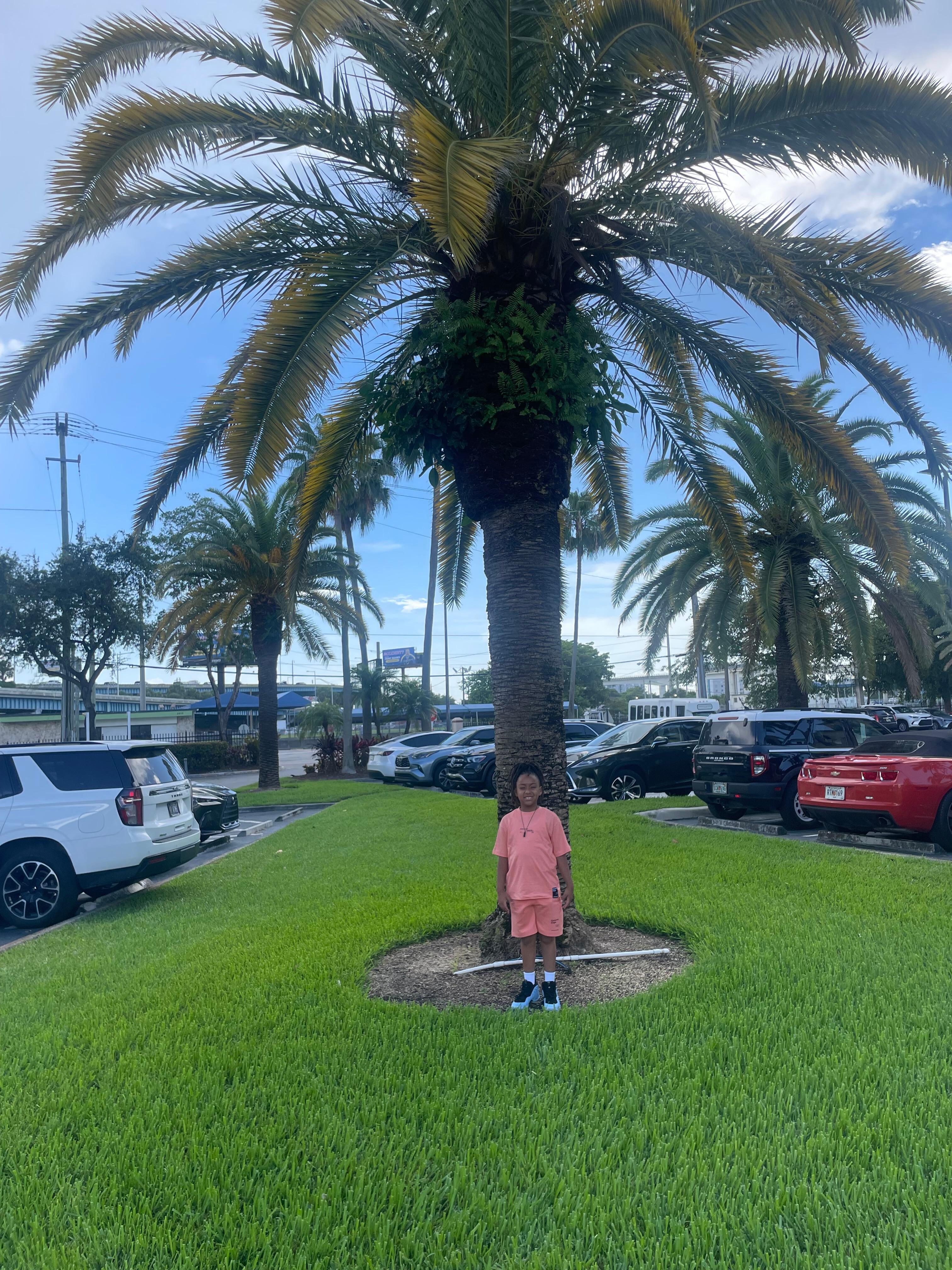 Outside 