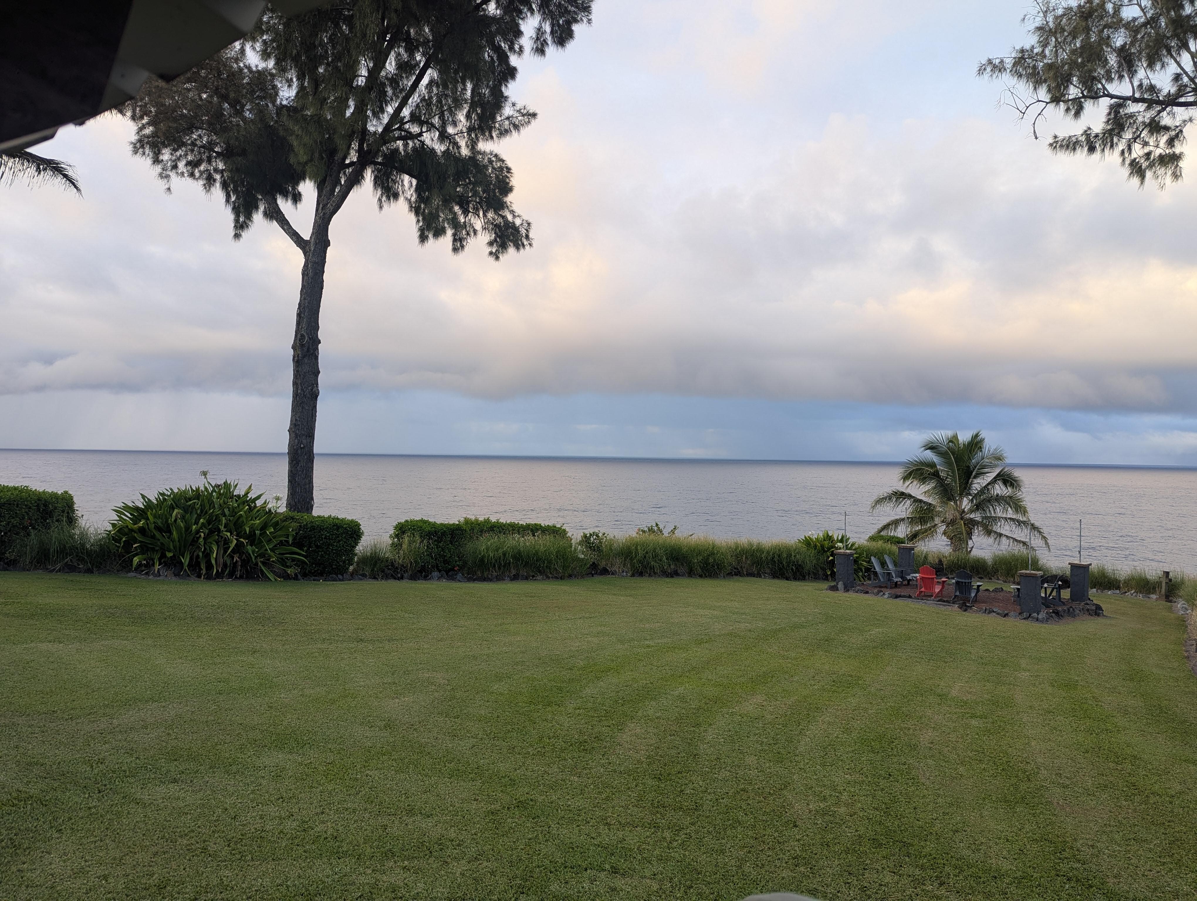 The lawn and views