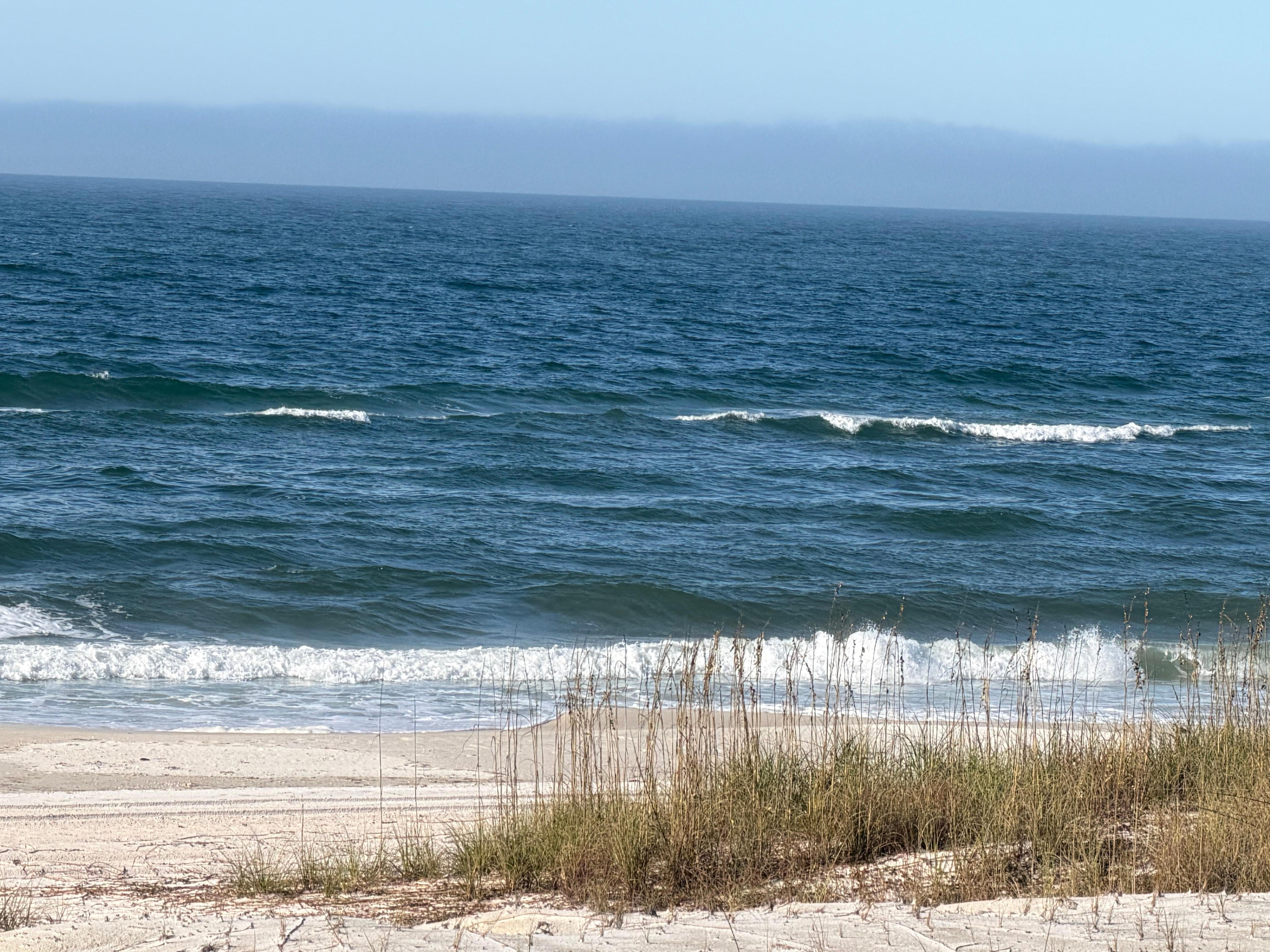 View from the back deck every day, all day! 😎☕️🍷