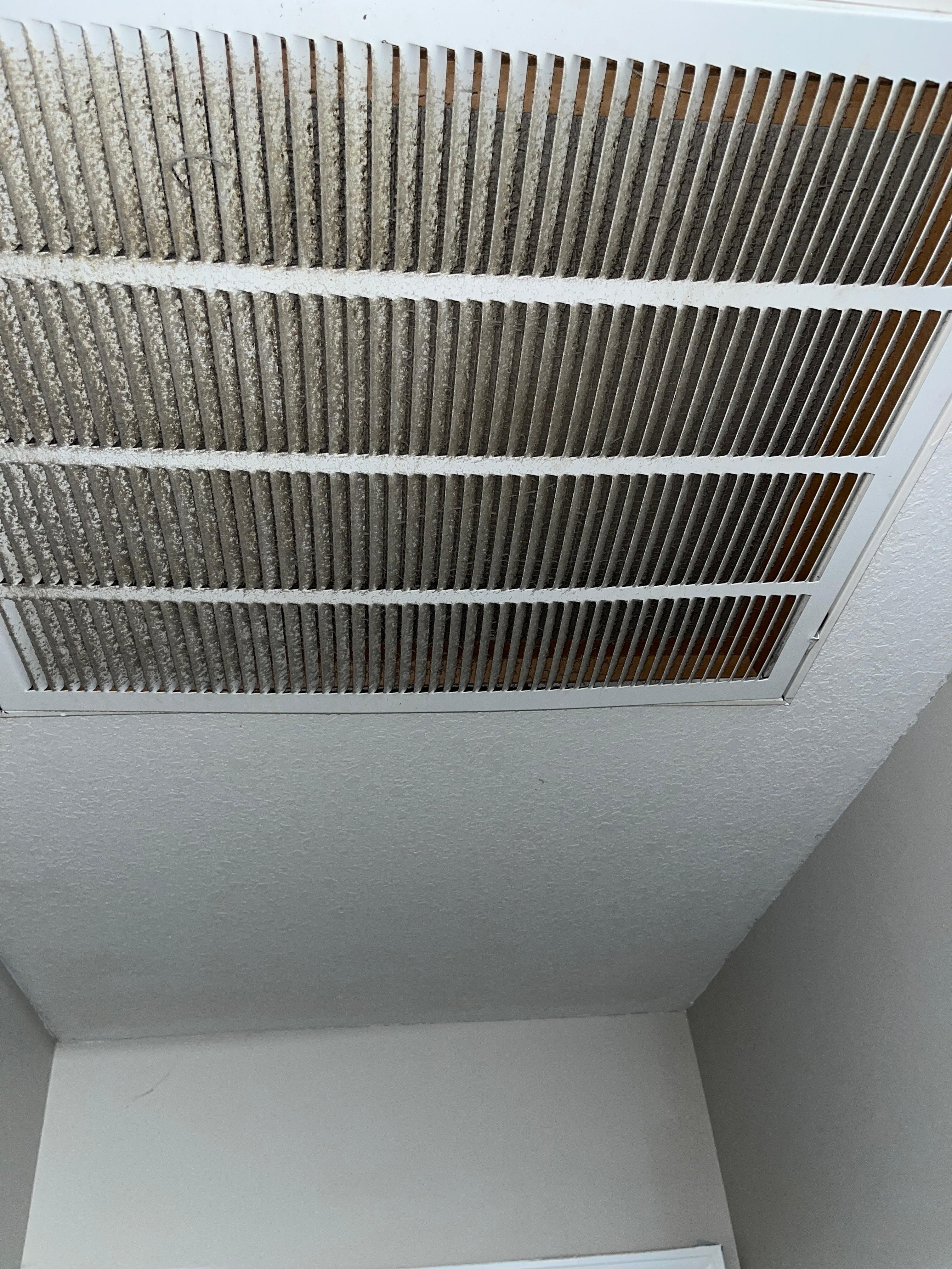 This is the air return register.  As you can see it is extremely dirty
