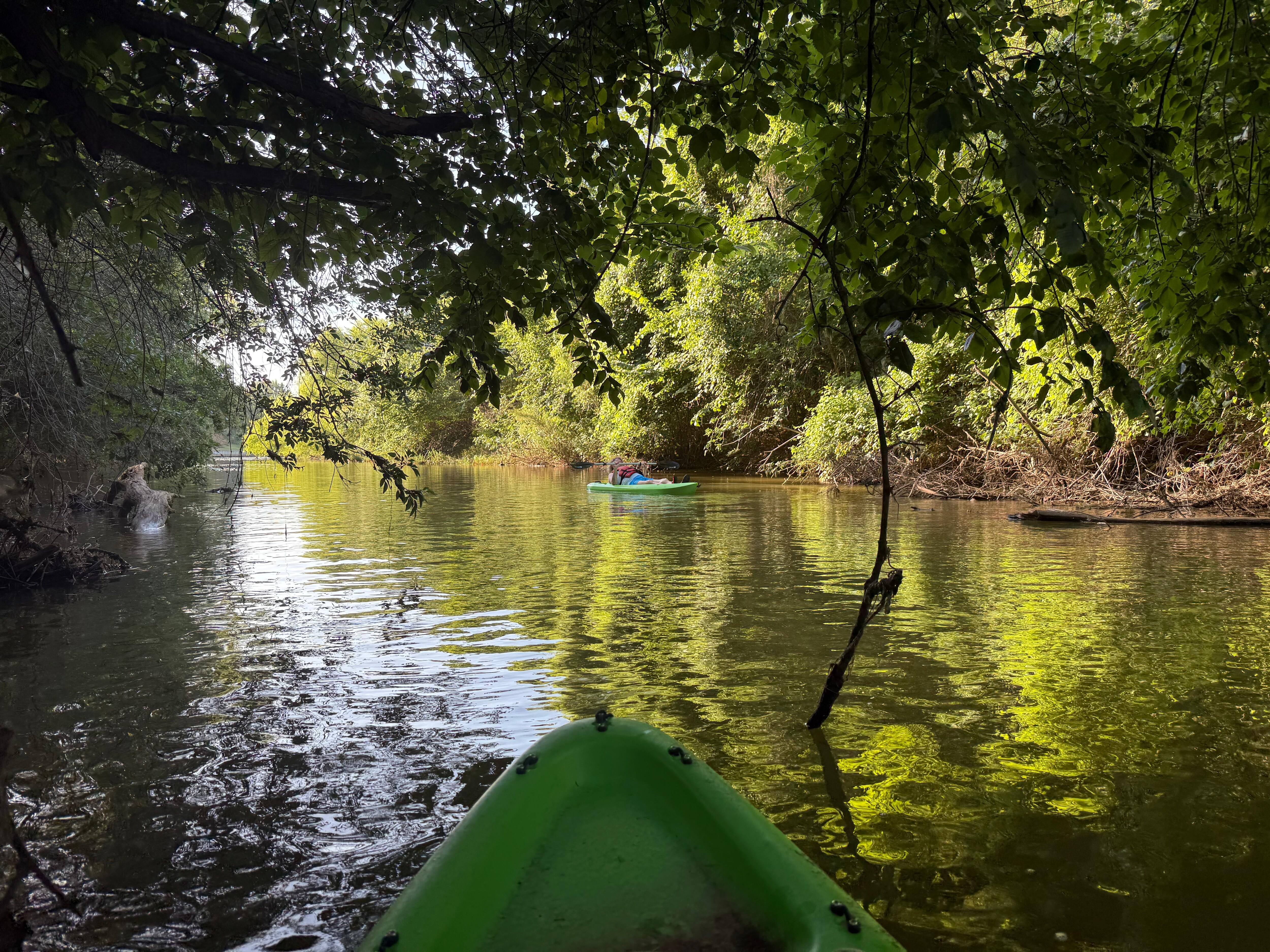 Always enjoy pretty sites when kayaking 