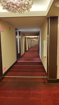 Hallway... clean and well lit.