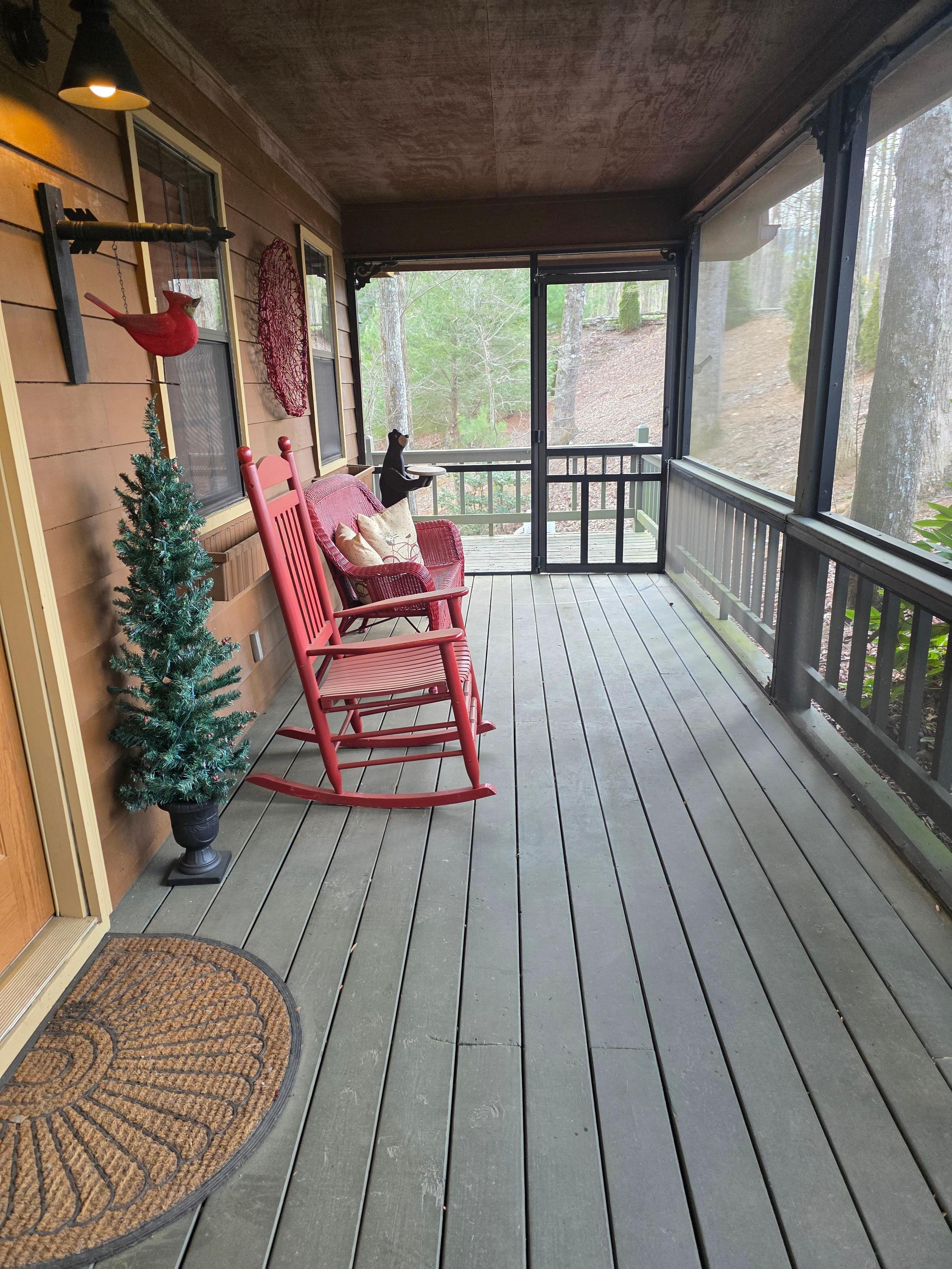 Spider webs & full of stink bugs & more to bring in ur stuff to home