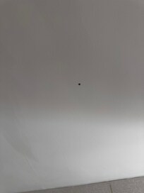 Mold in bathroom ceiling