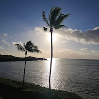 Morning view from the balcony