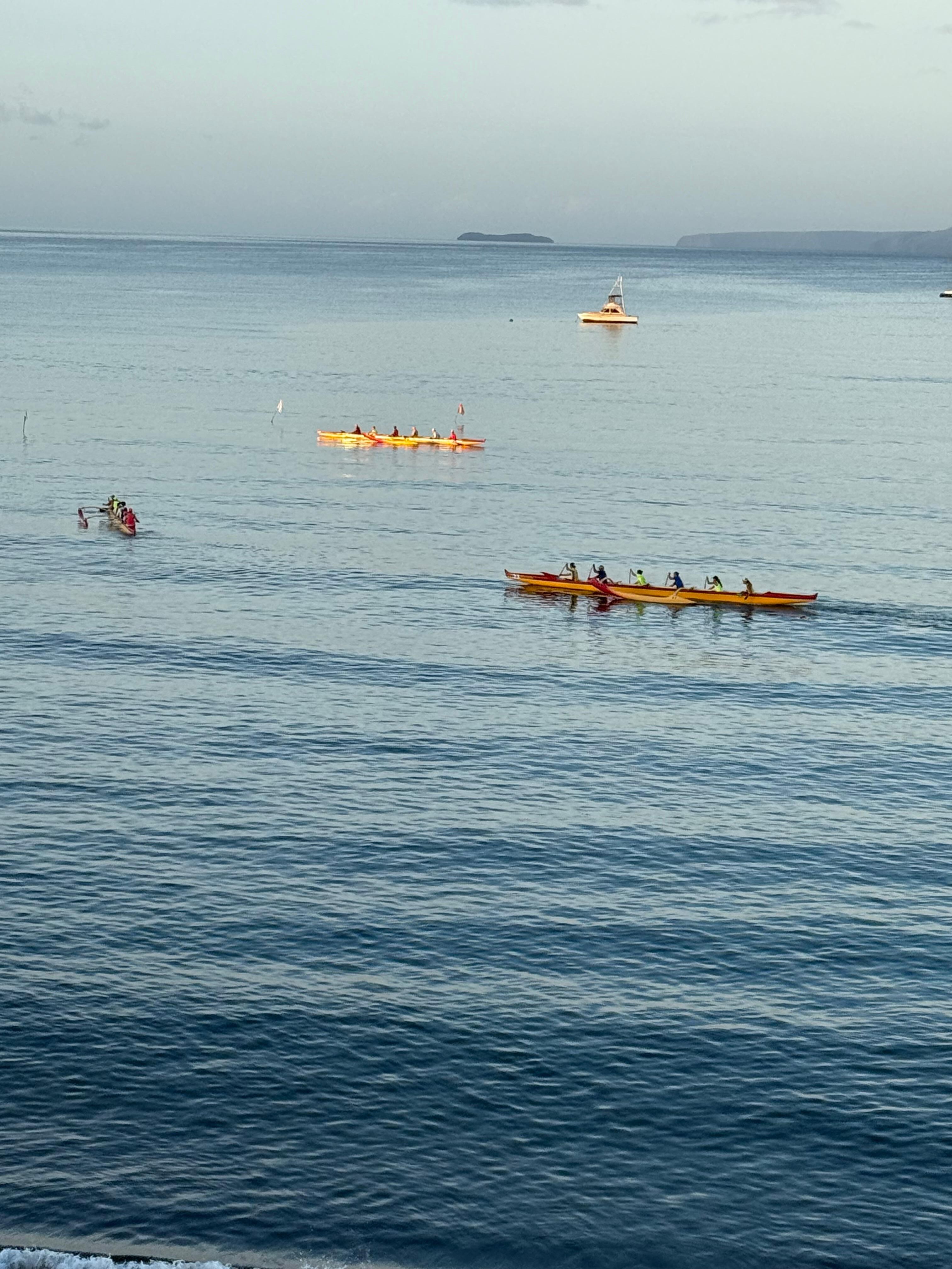 Morning entertainment watching rowing crews from the condo balcony 