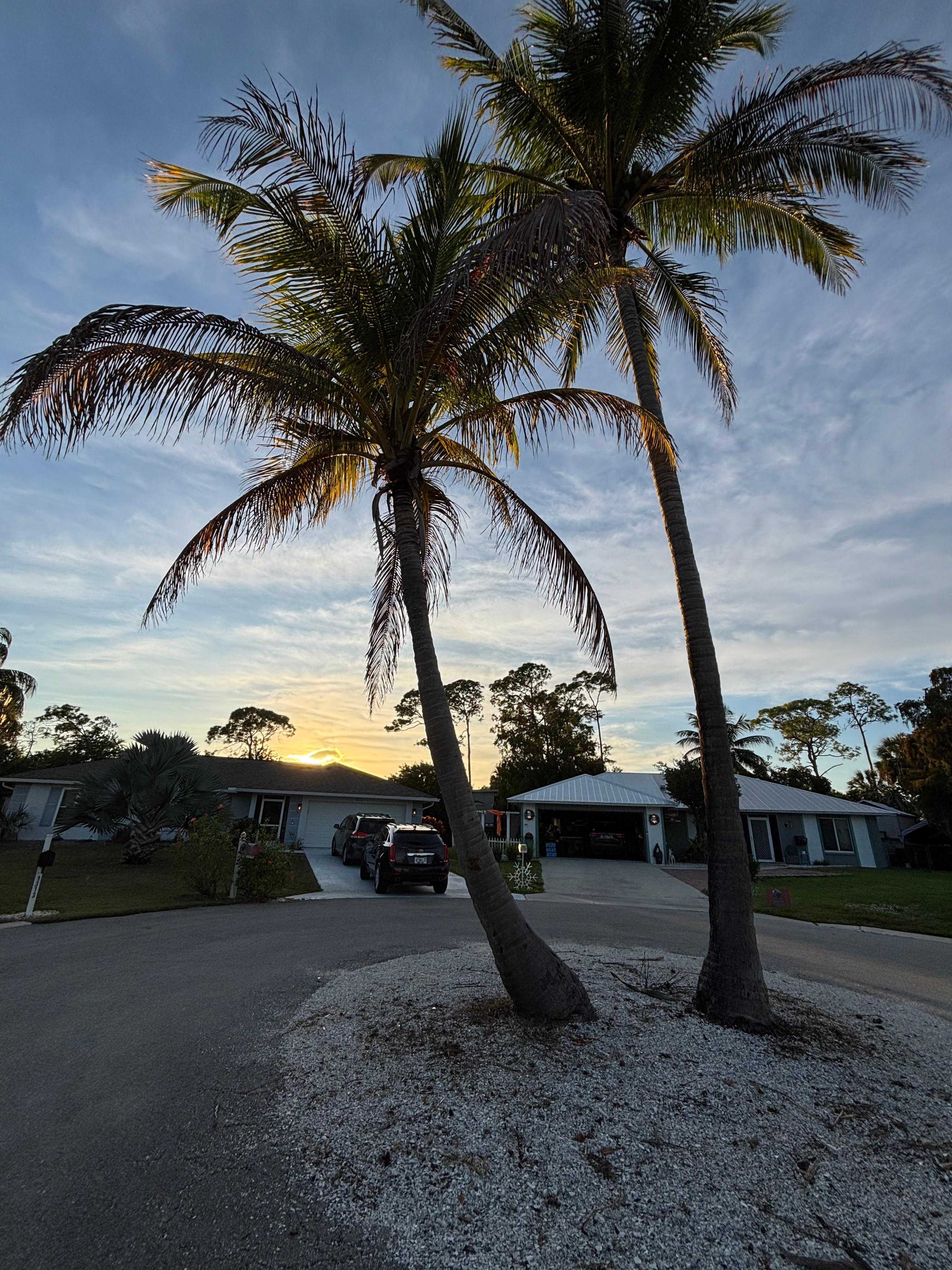 Sunset over the house 