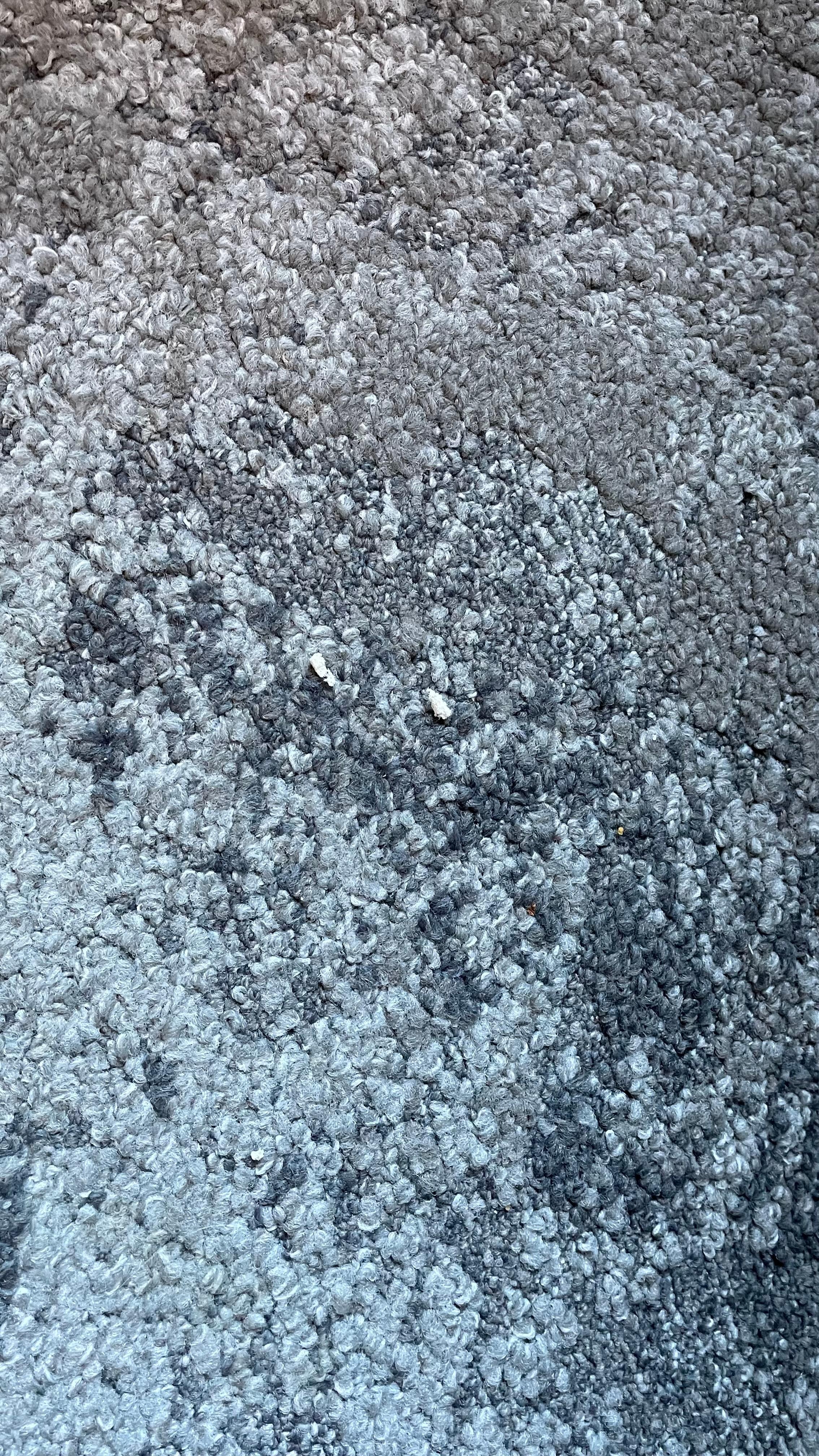 Carpet needs a thorough vacuum 