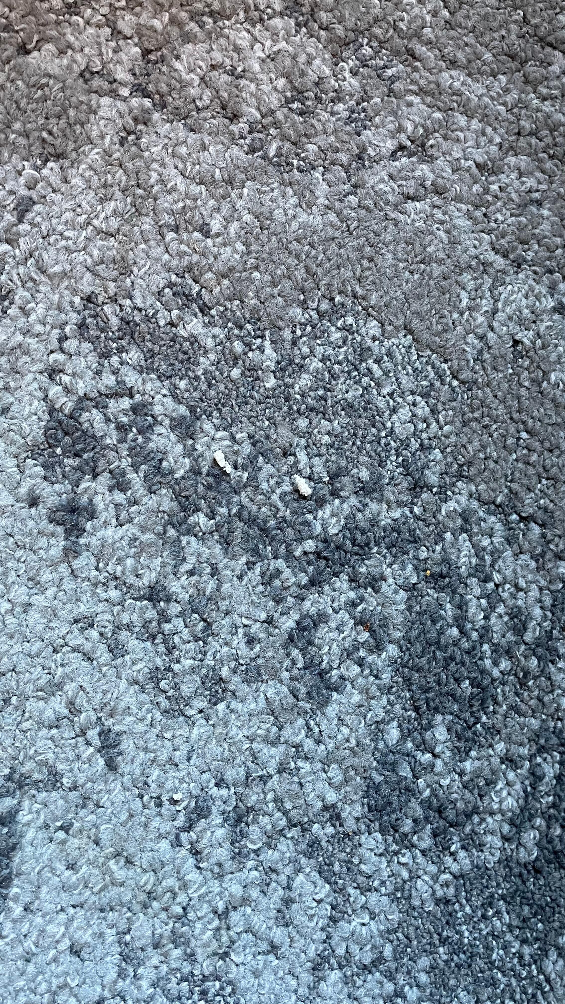 Carpet needs a thorough vacuum 