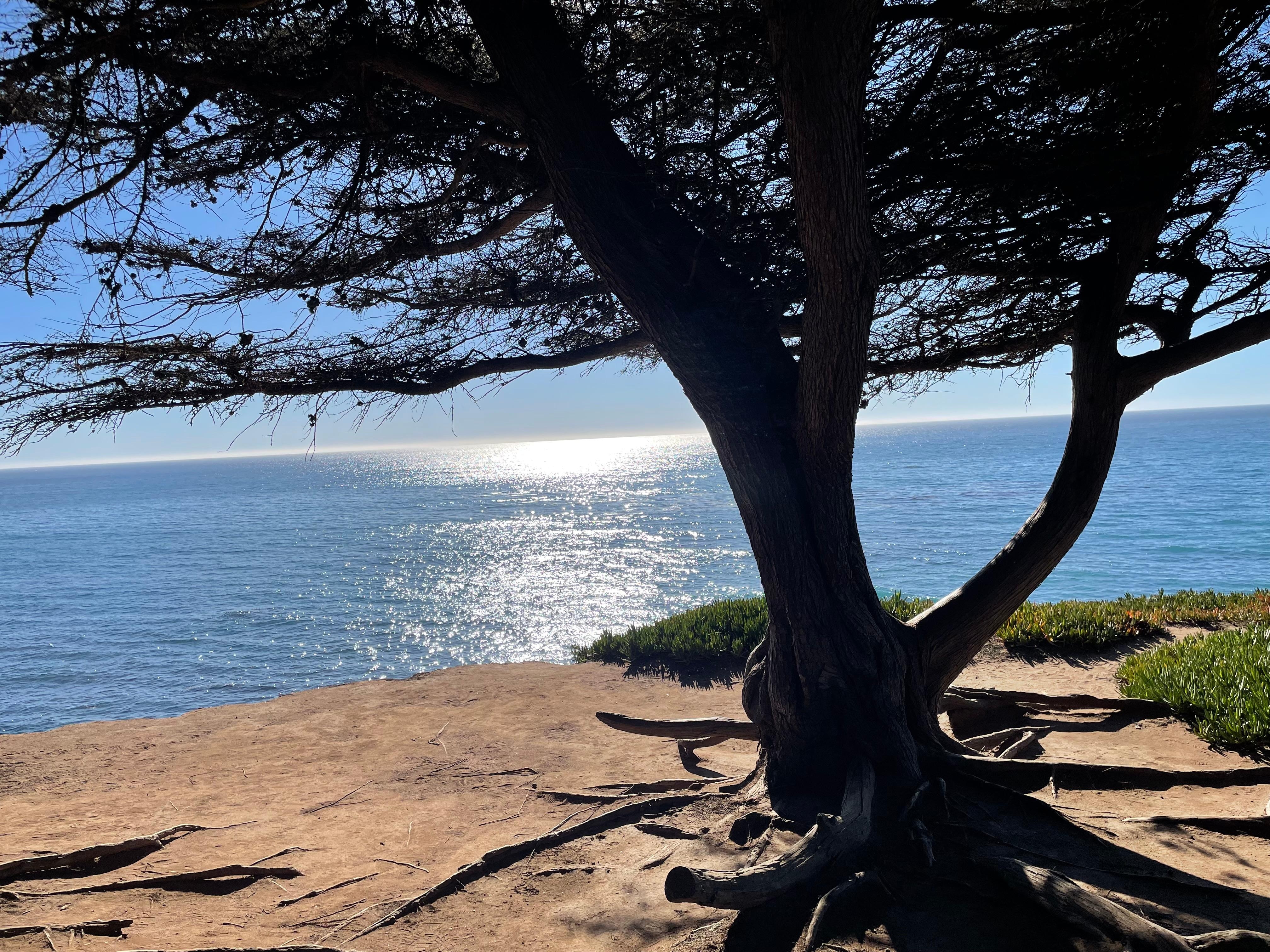 Amazing coastal view 