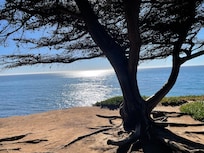 Amazing coastal view