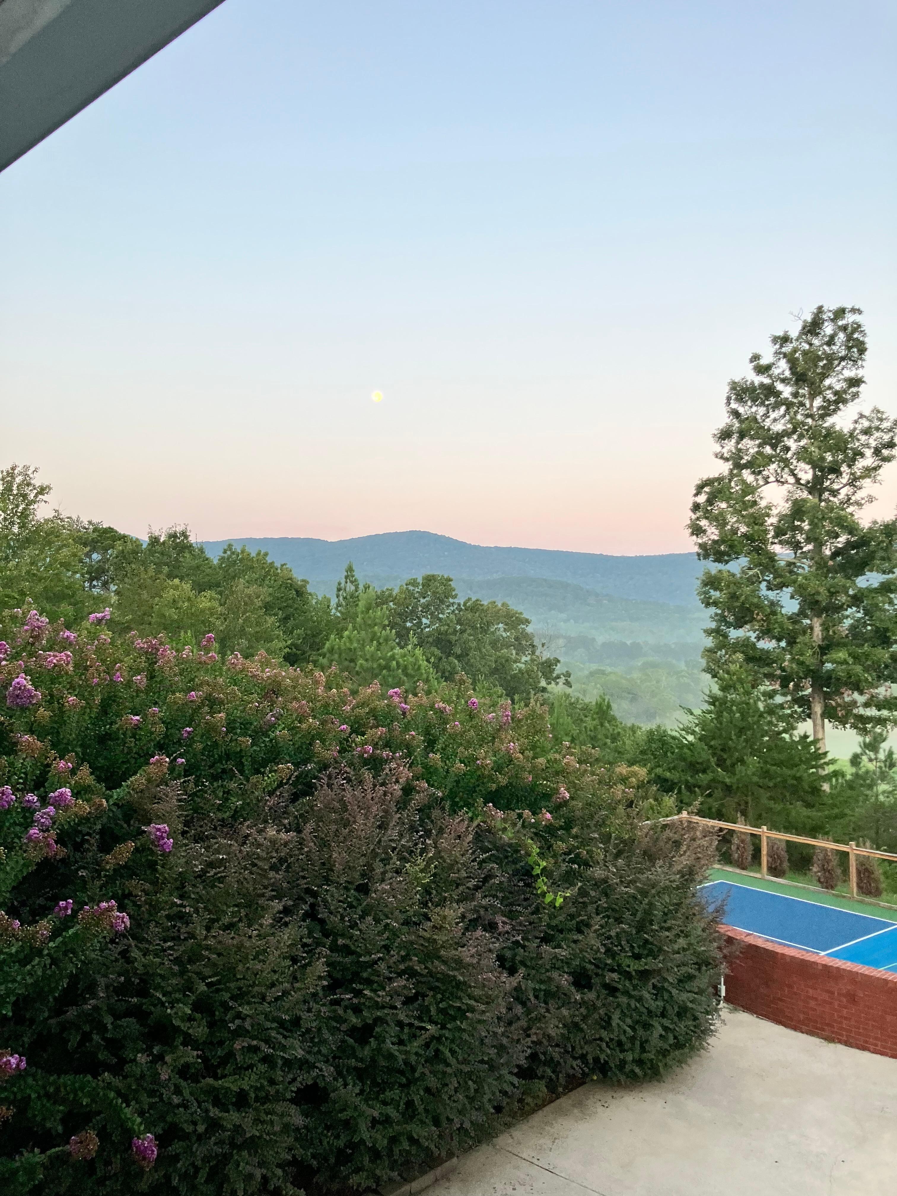 View from deck-Pickelball