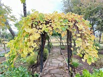 Marshland Inn garden