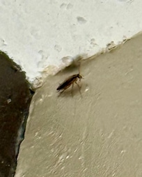 1 of several we found in our room