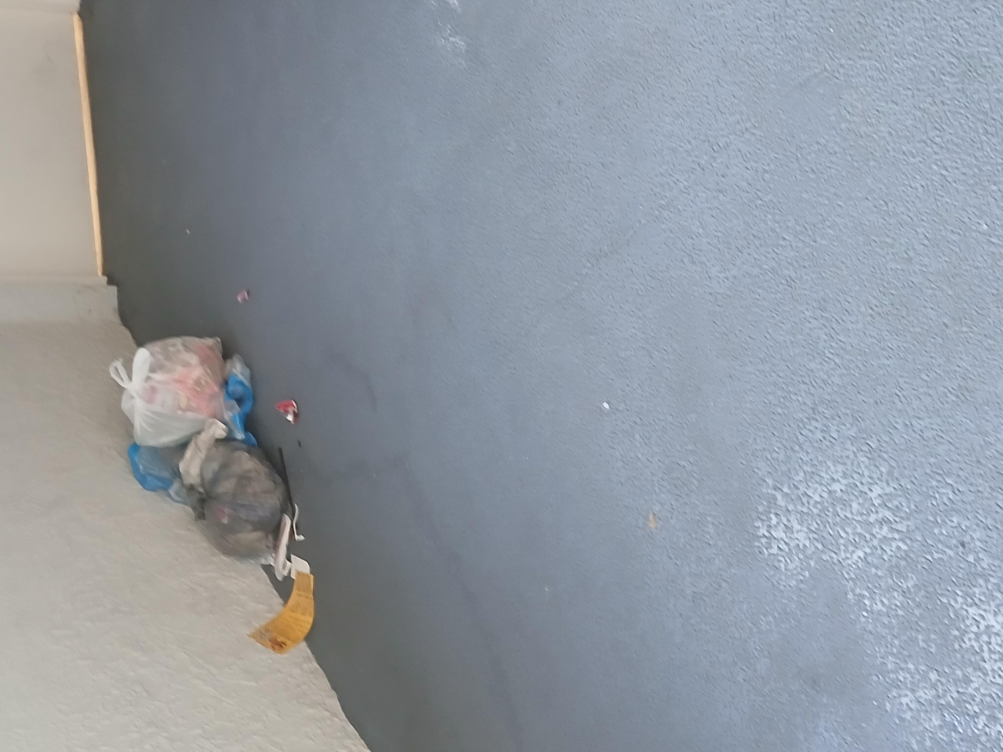 Trash in the hallway