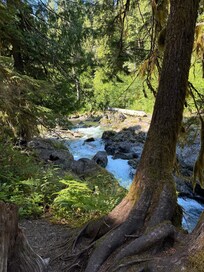 Sol Duc Salmon Falls