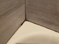 Mold