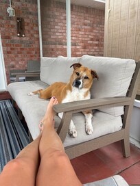 The pups sure loved their stay also!