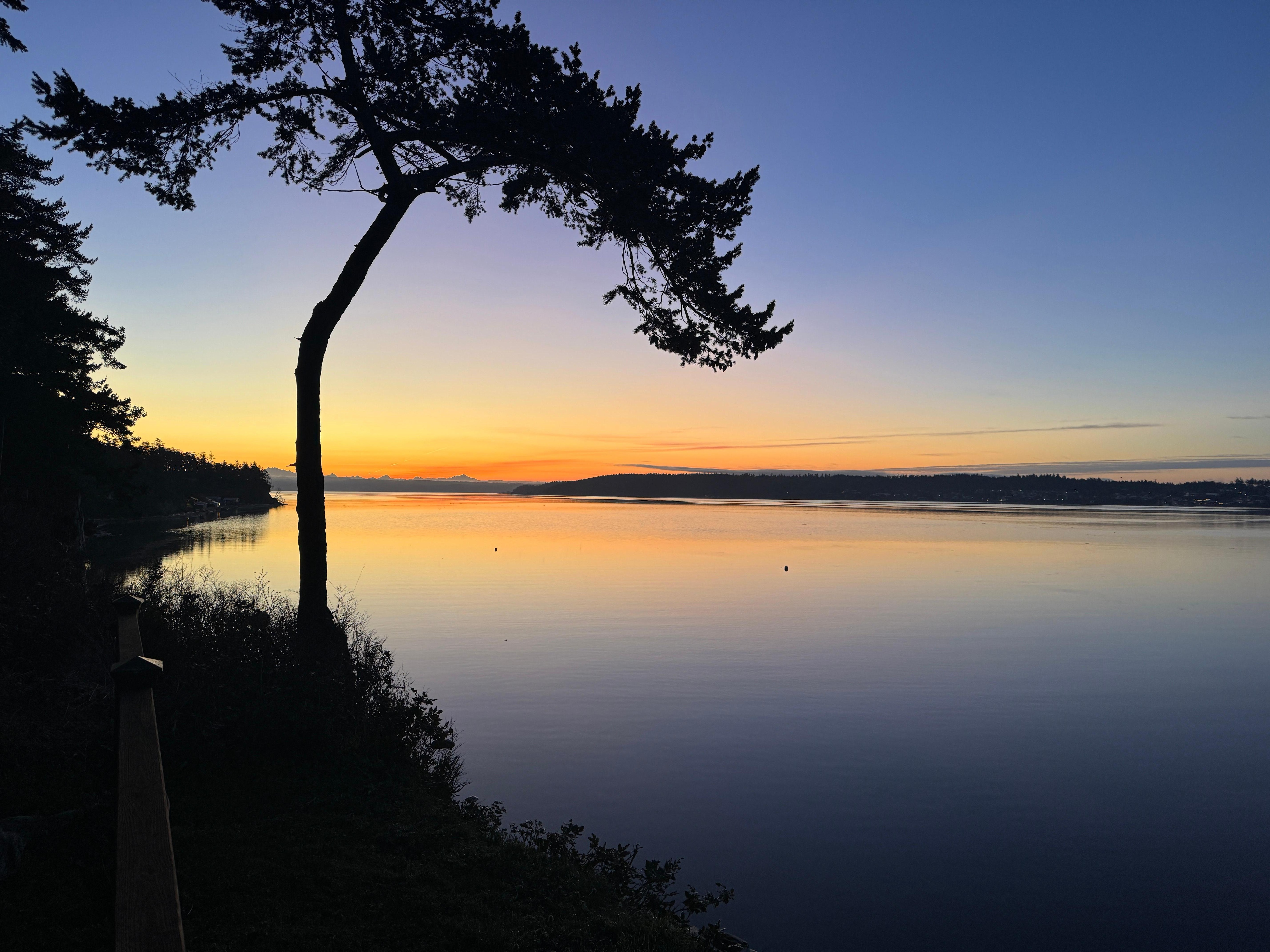 This picture was taken from the backyard