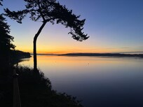 This picture was taken from the backyard